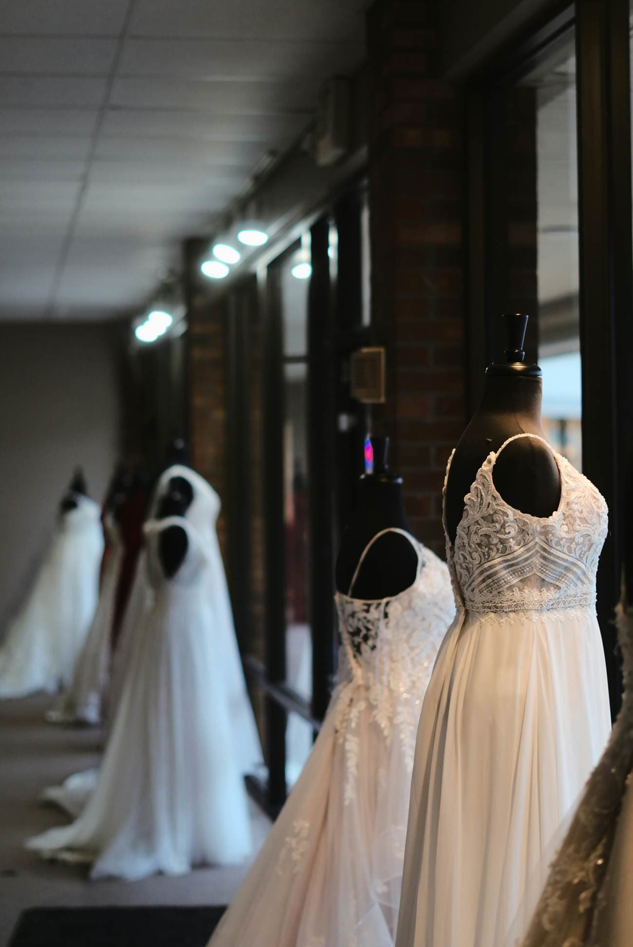Sample bridal gowns displayed in a boutique window